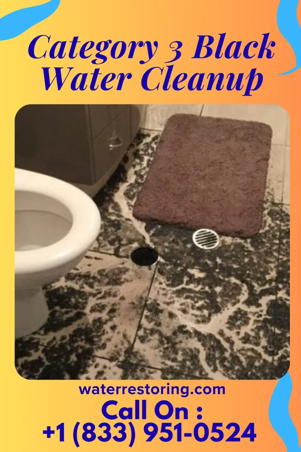Category 3 Black Water Cleanup in Lewistown, MO