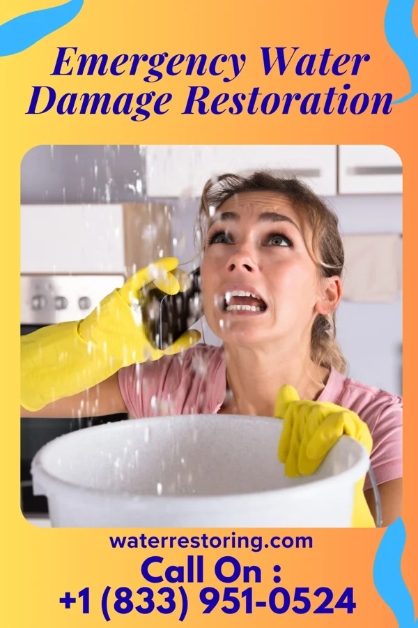 Emergency Water Damage Restoration in Lewistown, MO